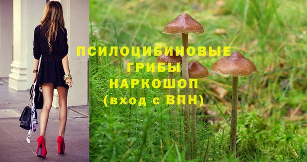 2c-b Нягань