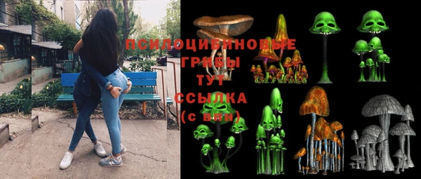 apvp Грязовец