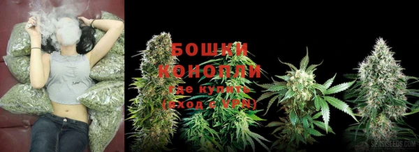 винт Осташков