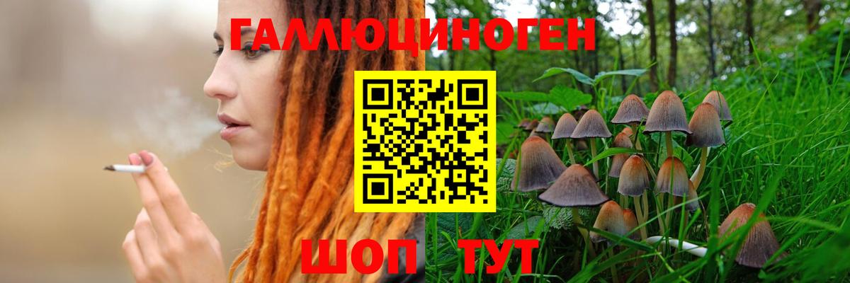 Нефтекумск  Псилоцибиновые грибы MAGIC MUSHROOMS  Псилоцибиновые грибы мицелий  Вход с VPN 